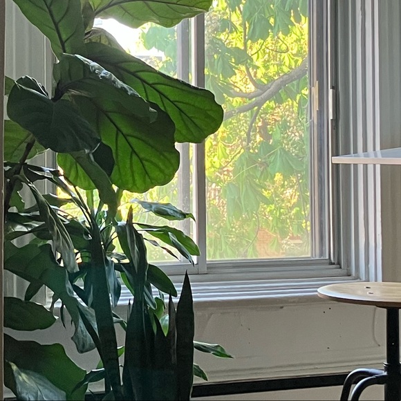 Meet your Posher, Veera T. - Picture 1 of 5